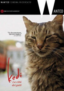 Kedi – La città dei gatti streaming