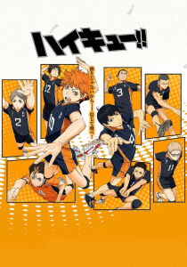 Haikyuu!! streaming