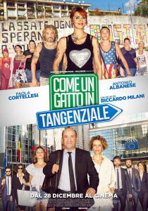 Come un gatto in tangenziale streaming