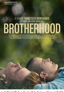 Brotherhood streaming